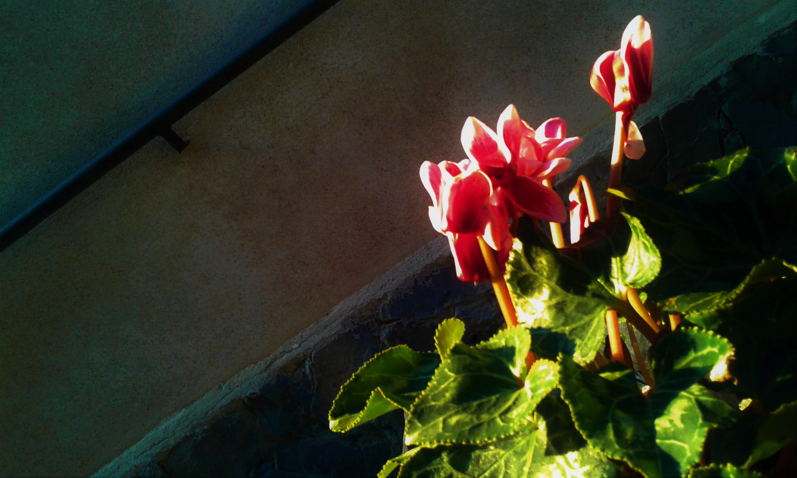 gennaio ultimo sole.....