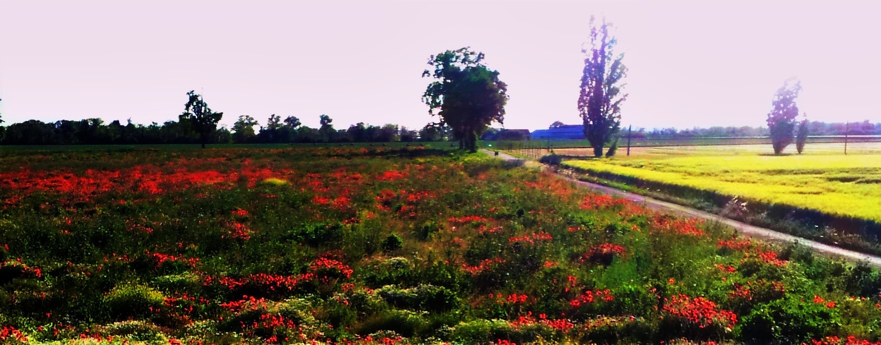 primavera all'autogrill